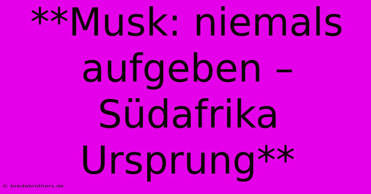 **Musk: Niemals Aufgeben – Südafrika Ursprung**