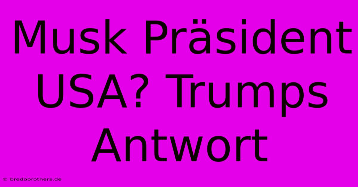 Musk Präsident USA? Trumps Antwort