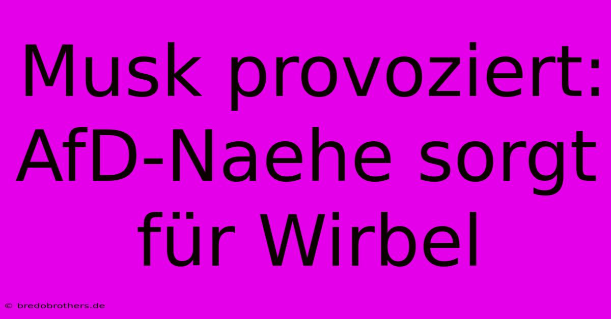 Musk Provoziert:  AfD-Naehe Sorgt Für Wirbel