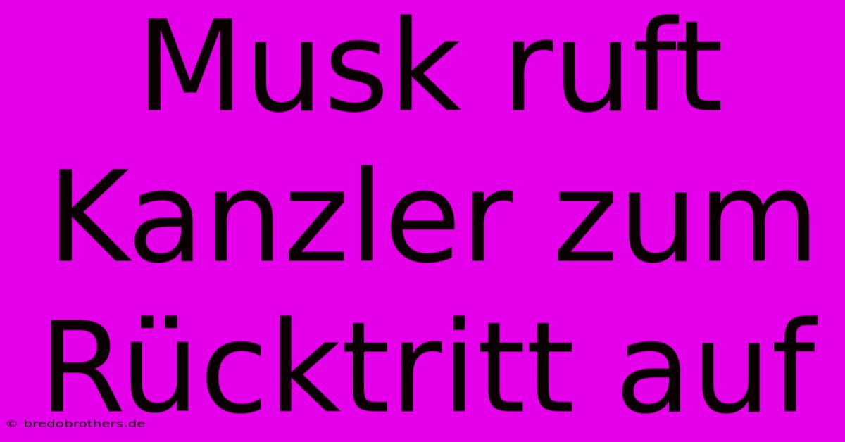 Musk Ruft Kanzler Zum Rücktritt Auf