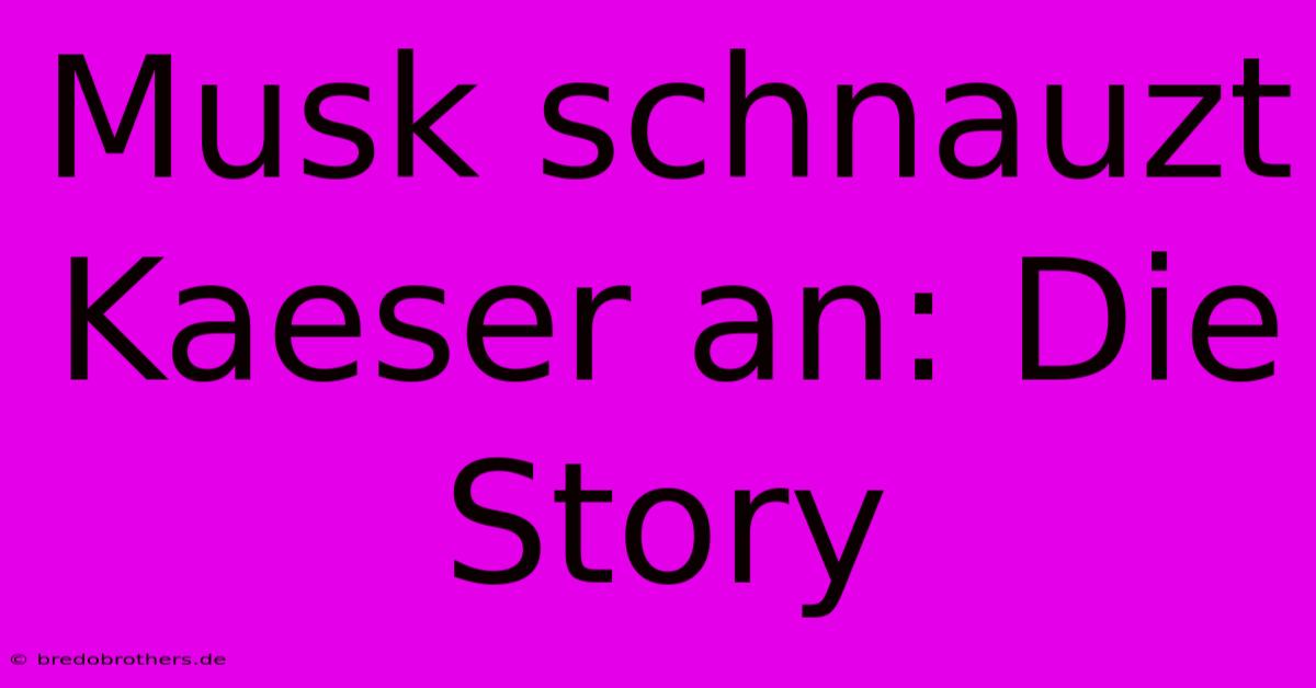 Musk Schnauzt Kaeser An: Die Story