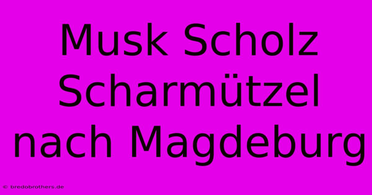 Musk Scholz Scharmützel Nach Magdeburg