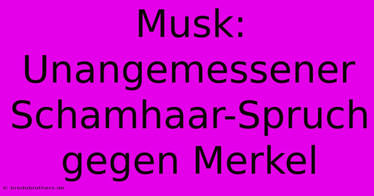 Musk:  Unangemessener Schamhaar-Spruch Gegen Merkel