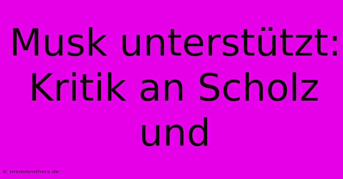 Musk Unterstützt: Kritik An Scholz Und