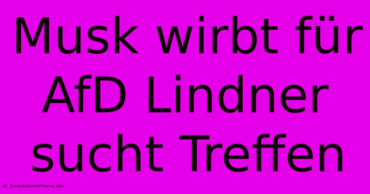 Musk Wirbt Für AfD Lindner Sucht Treffen