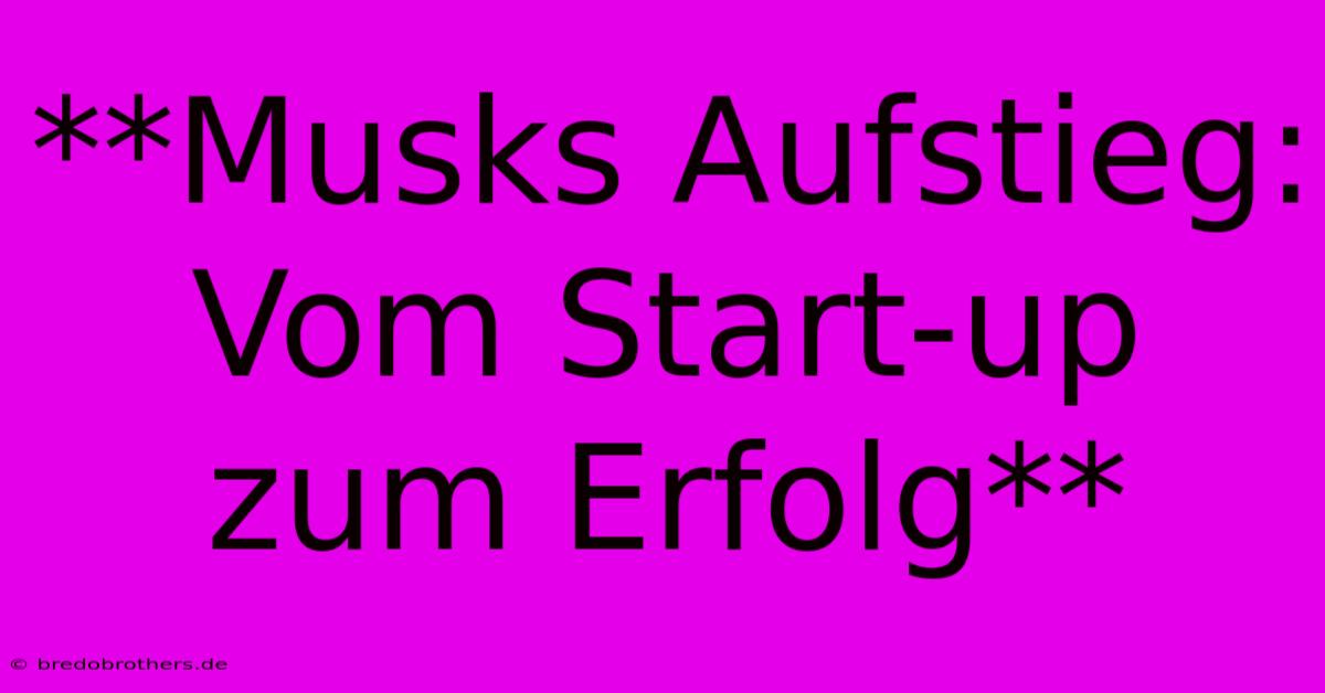 **Musks Aufstieg: Vom Start-up Zum Erfolg**