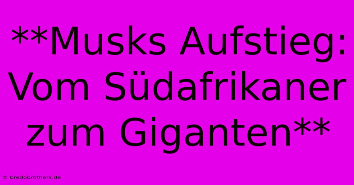 **Musks Aufstieg: Vom Südafrikaner Zum Giganten**