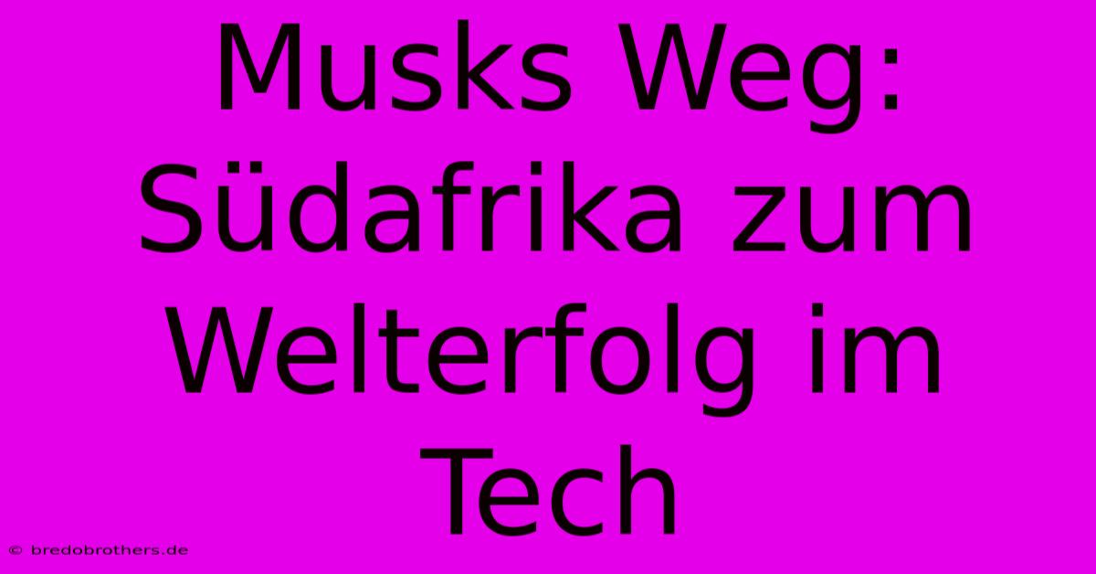 Musks Weg: Südafrika Zum Welterfolg Im Tech