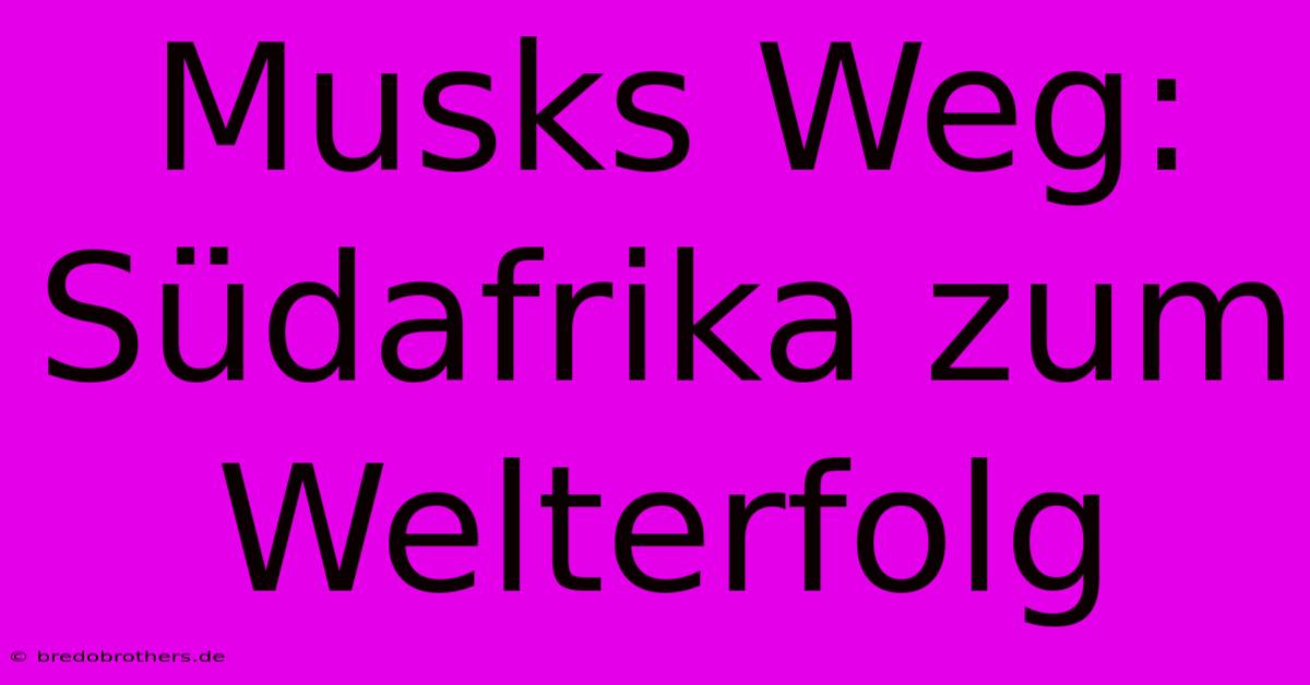 Musks Weg: Südafrika Zum Welterfolg