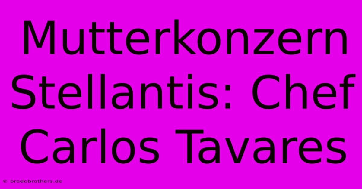 Mutterkonzern Stellantis: Chef Carlos Tavares