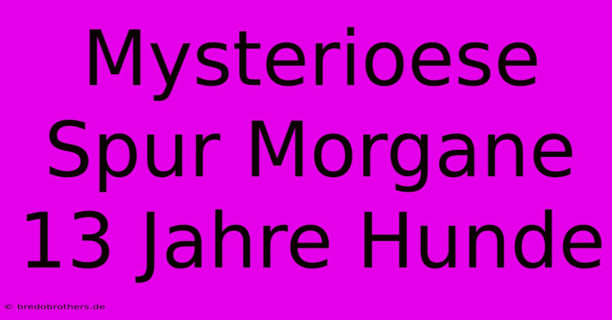 Mysterioese Spur Morgane 13 Jahre Hunde