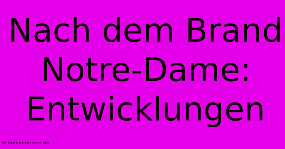 Nach Dem Brand Notre-Dame: Entwicklungen