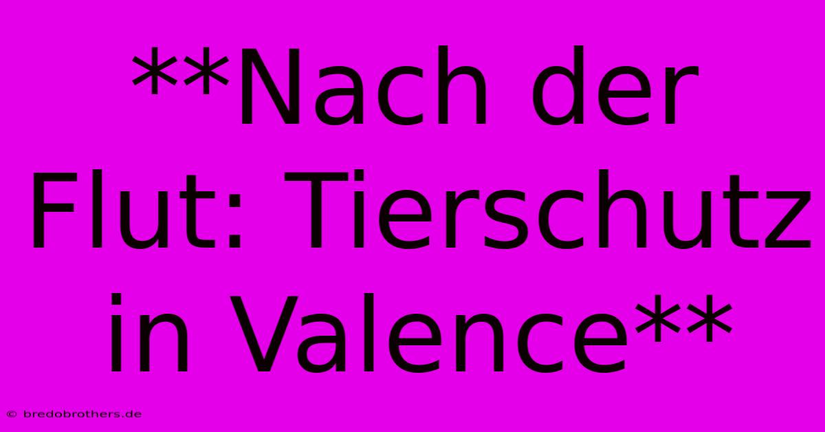 **Nach Der Flut: Tierschutz In Valence**