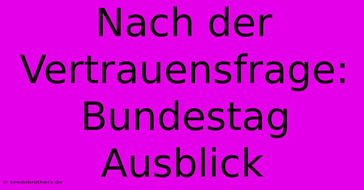 Nach Der Vertrauensfrage: Bundestag Ausblick