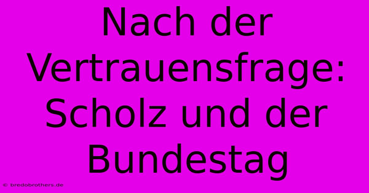 Nach Der Vertrauensfrage: Scholz Und Der Bundestag