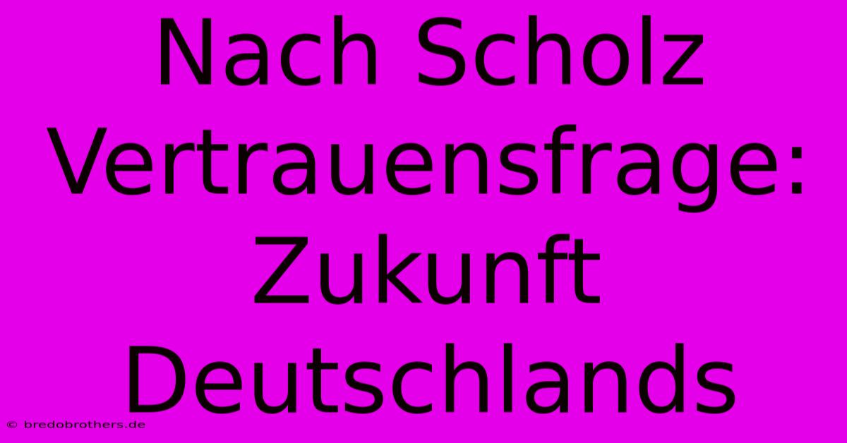 Nach Scholz Vertrauensfrage: Zukunft Deutschlands