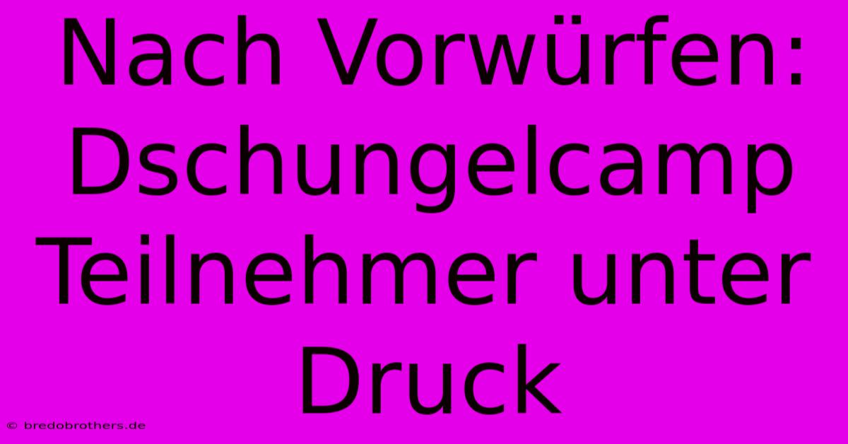 Nach Vorwürfen: Dschungelcamp Teilnehmer Unter Druck