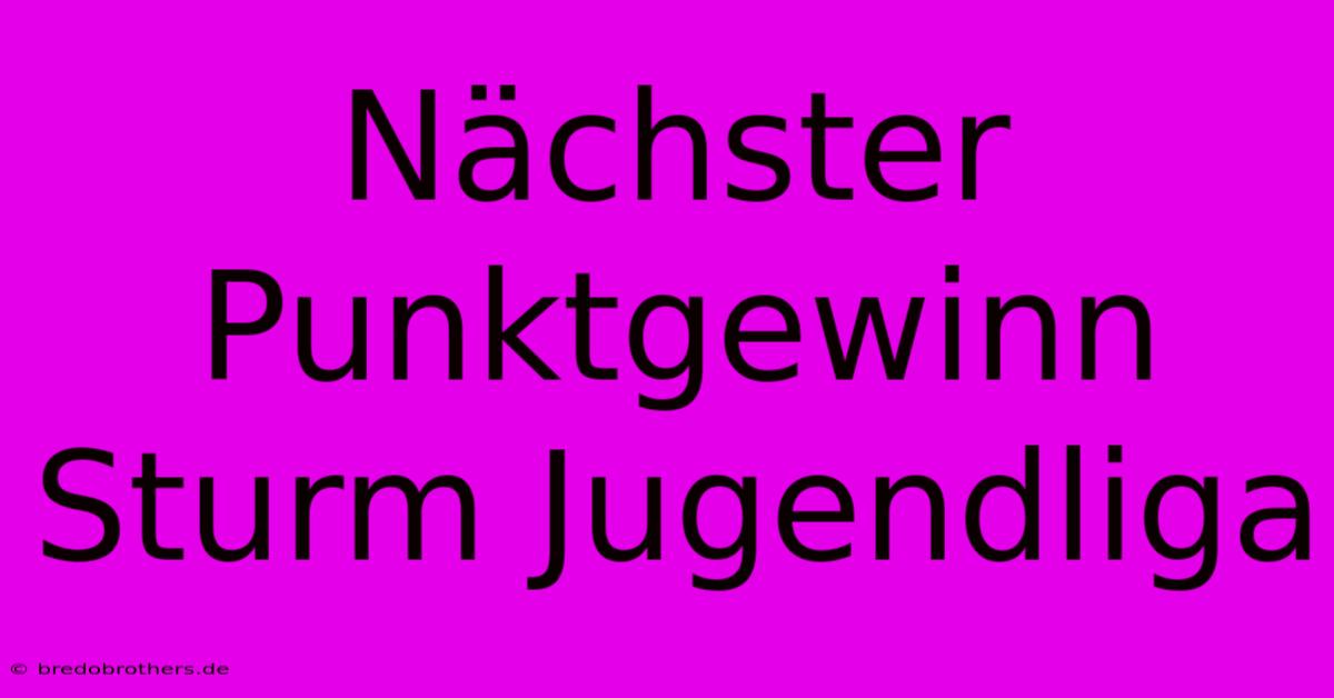 Nächster Punktgewinn Sturm Jugendliga