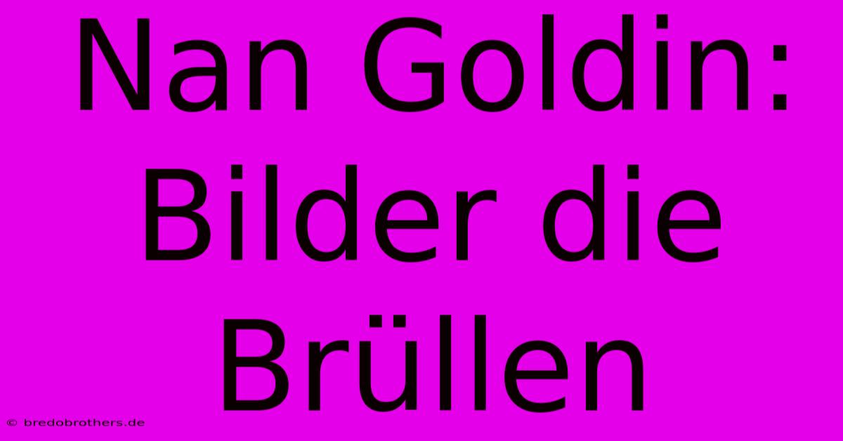 Nan Goldin: Bilder Die Brüllen