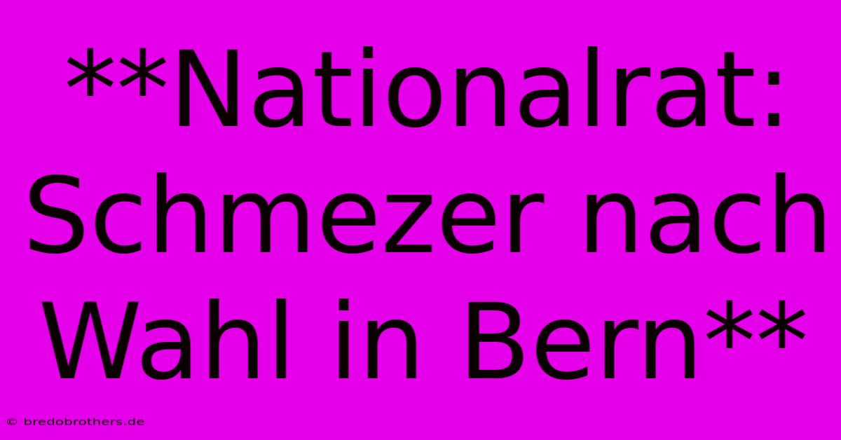 **Nationalrat: Schmezer Nach Wahl In Bern**