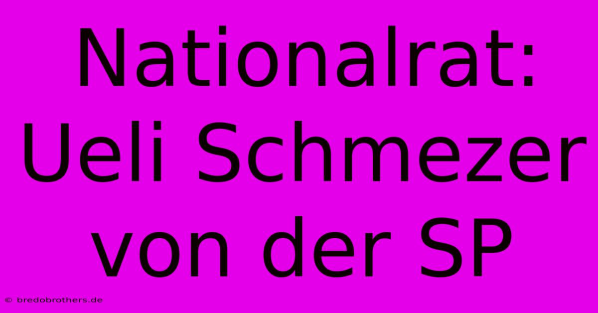 Nationalrat: Ueli Schmezer Von Der SP