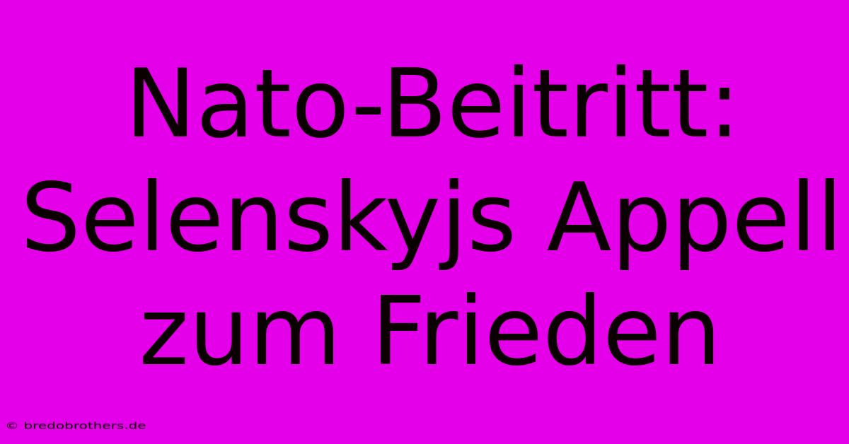 Nato-Beitritt: Selenskyjs Appell Zum Frieden