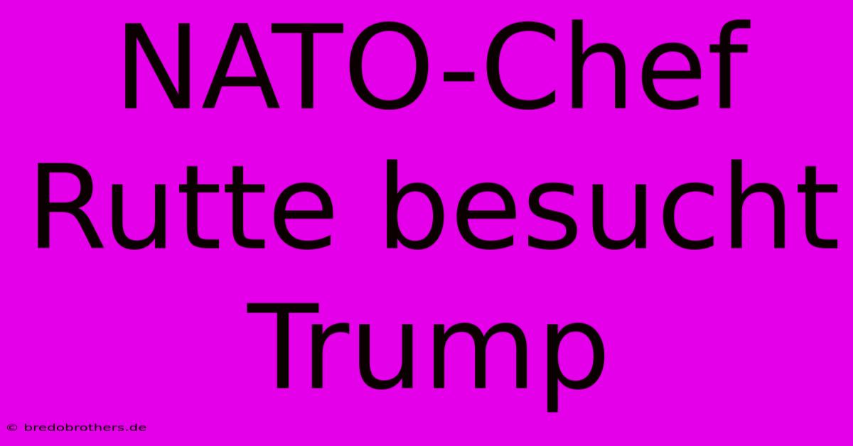 NATO-Chef Rutte Besucht Trump