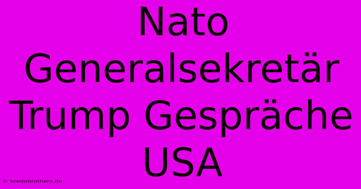 Nato Generalsekretär Trump Gespräche USA