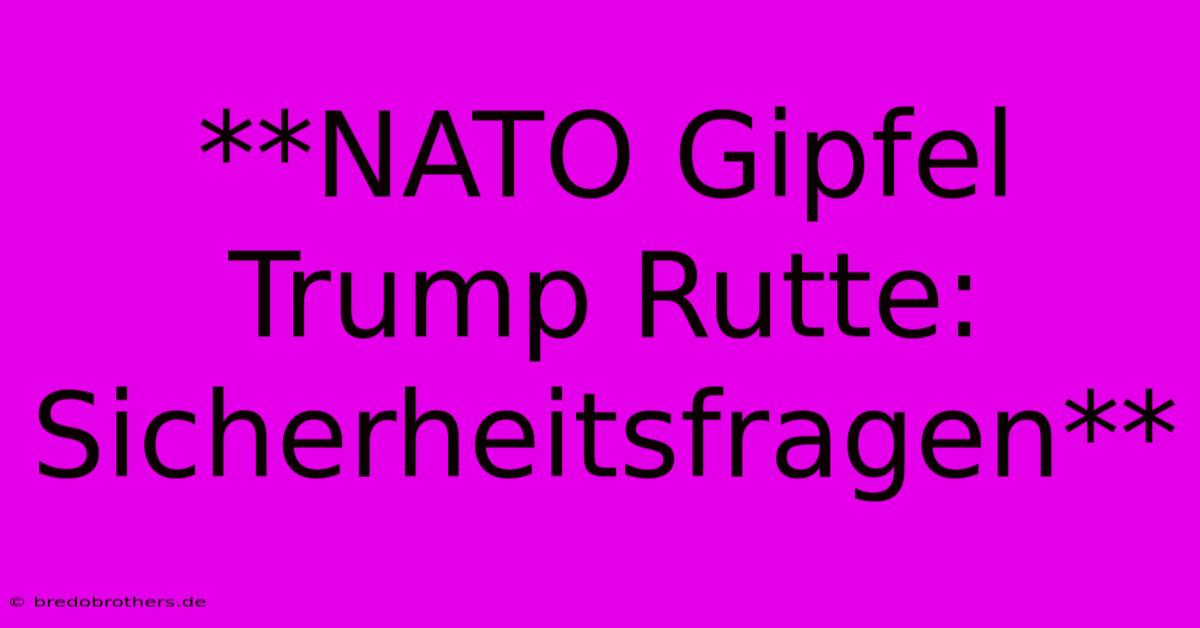 **NATO Gipfel Trump Rutte: Sicherheitsfragen**