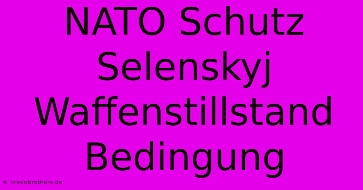 NATO Schutz Selenskyj Waffenstillstand Bedingung