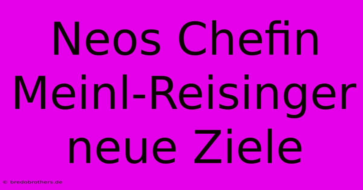 Neos Chefin Meinl-Reisinger Neue Ziele