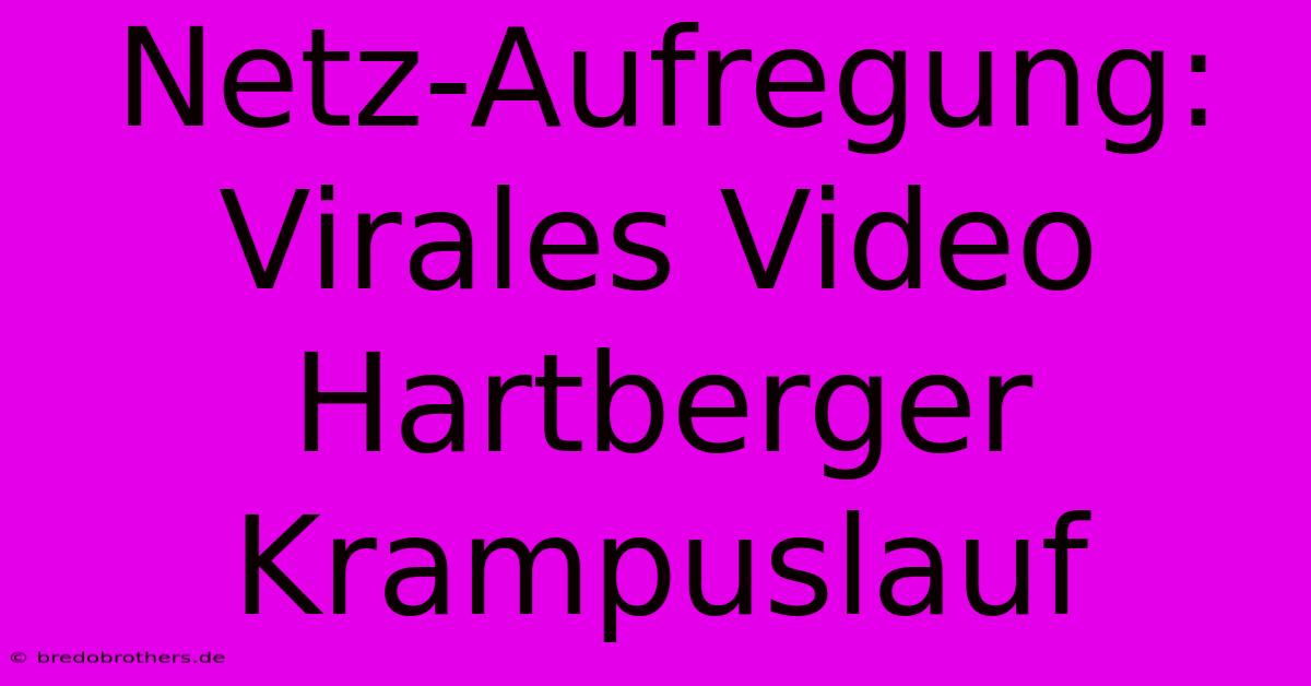 Netz-Aufregung: Virales Video Hartberger Krampuslauf