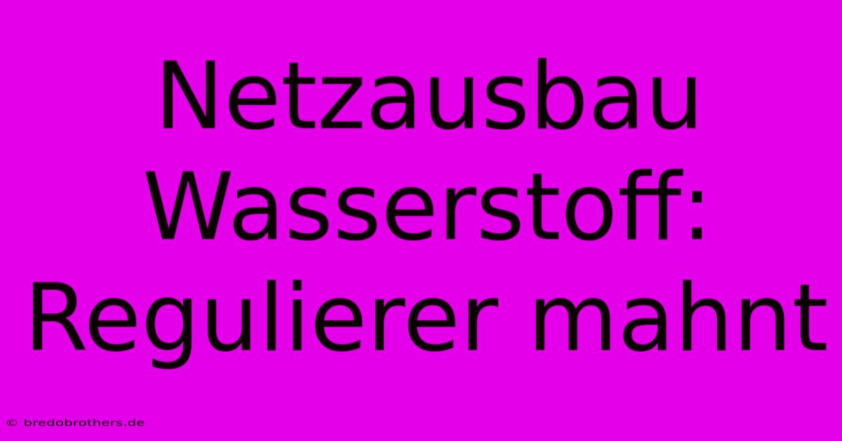 Netzausbau Wasserstoff: Regulierer Mahnt