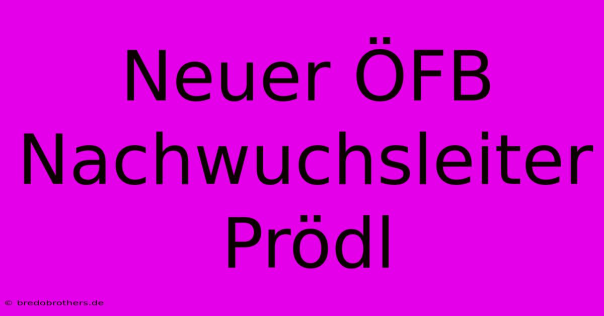 Neuer ÖFB Nachwuchsleiter Prödl