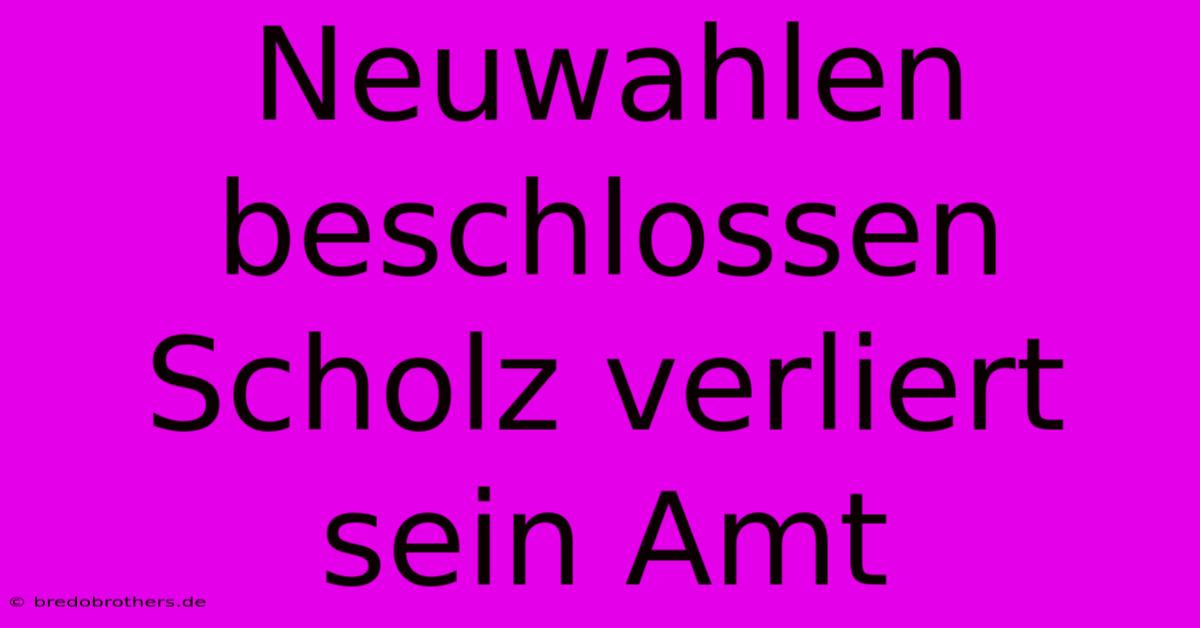 Neuwahlen Beschlossen Scholz Verliert Sein Amt