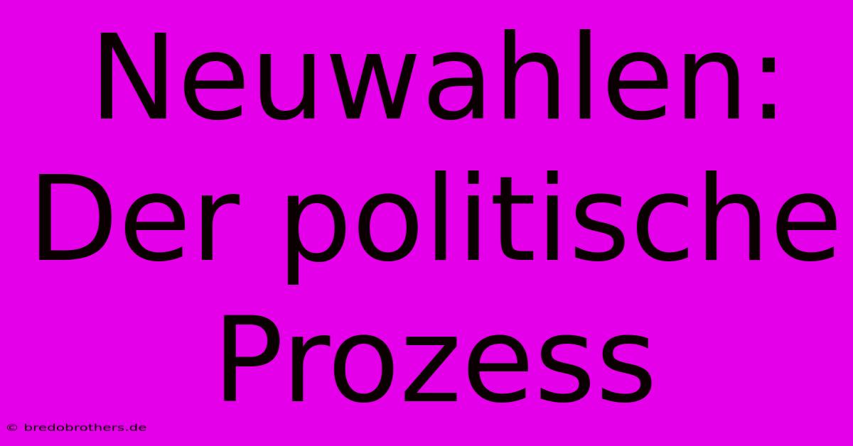 Neuwahlen:  Der Politische Prozess