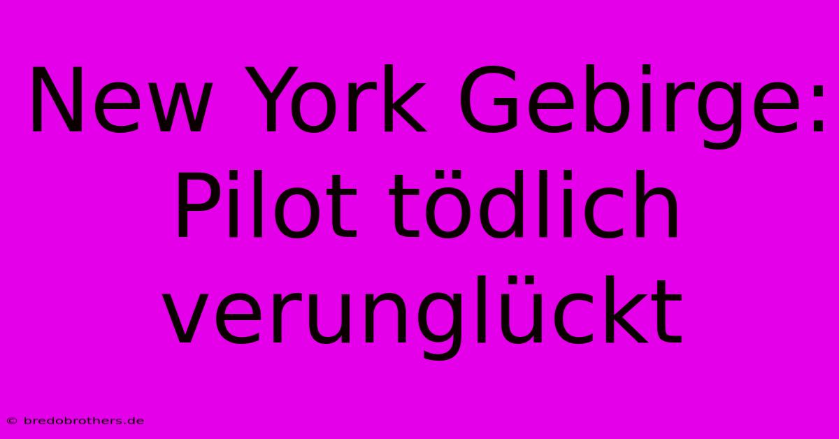 New York Gebirge: Pilot Tödlich Verunglückt