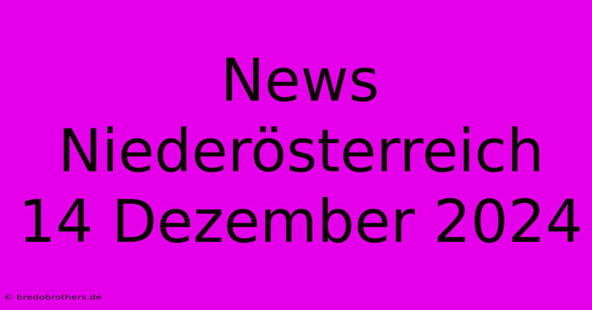 News Niederösterreich 14 Dezember 2024