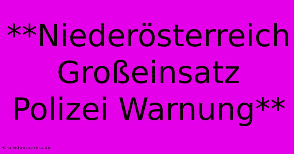 **Niederösterreich Großeinsatz Polizei Warnung**