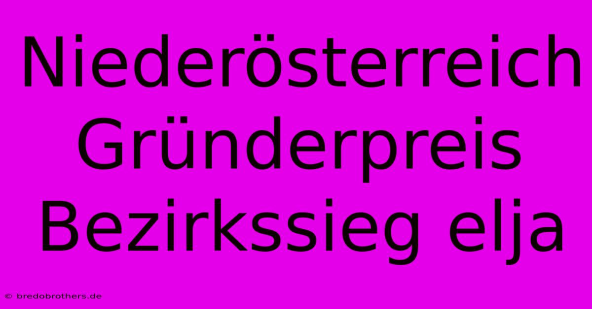 Niederösterreich Gründerpreis Bezirkssieg Elja