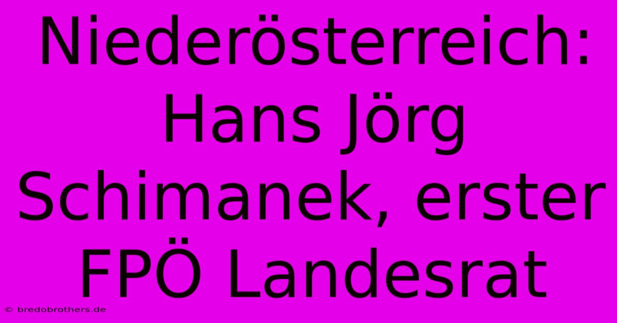 Niederösterreich: Hans Jörg Schimanek, Erster FPÖ Landesrat