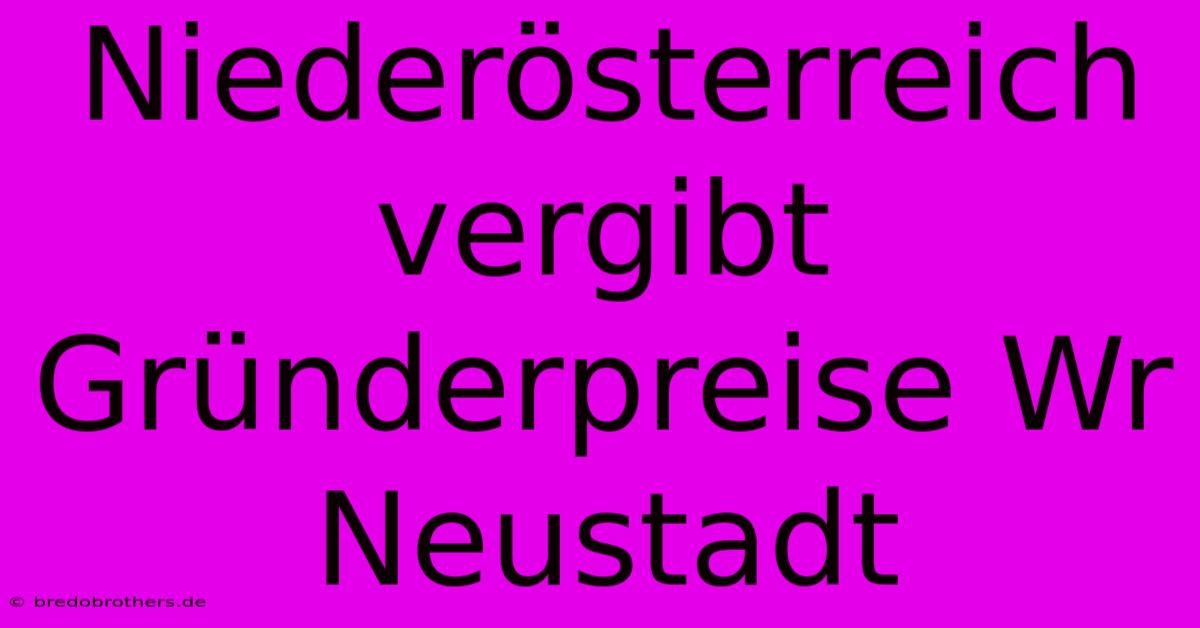 Niederösterreich Vergibt Gründerpreise Wr Neustadt