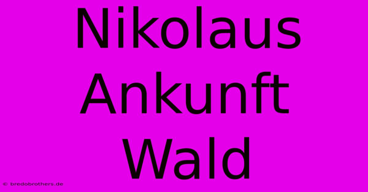 Nikolaus Ankunft Wald