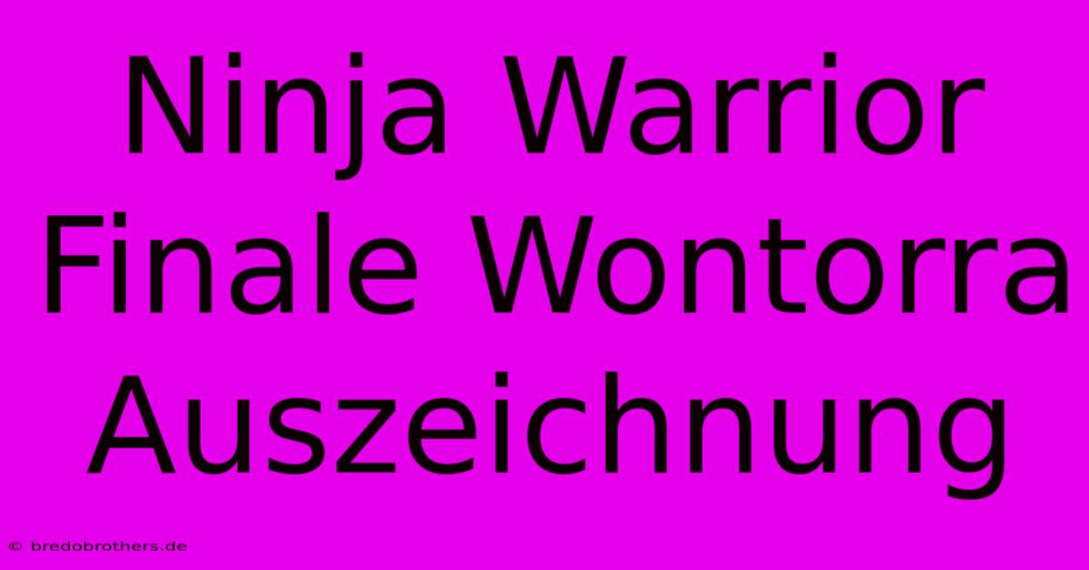 Ninja Warrior Finale Wontorra Auszeichnung