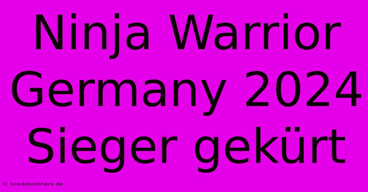 Ninja Warrior Germany 2024 Sieger Gekürt