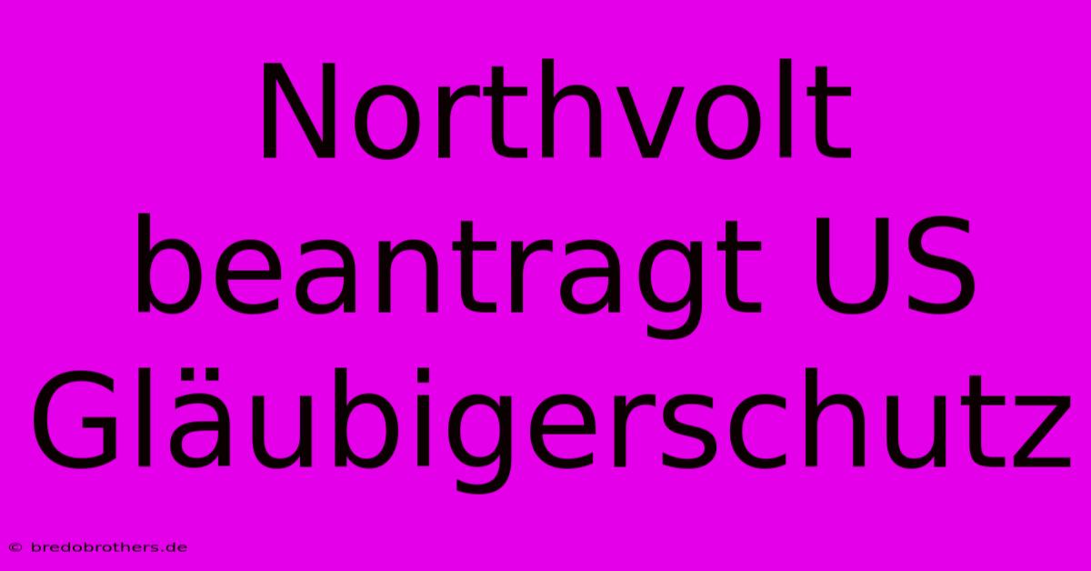 Northvolt Beantragt US Gläubigerschutz