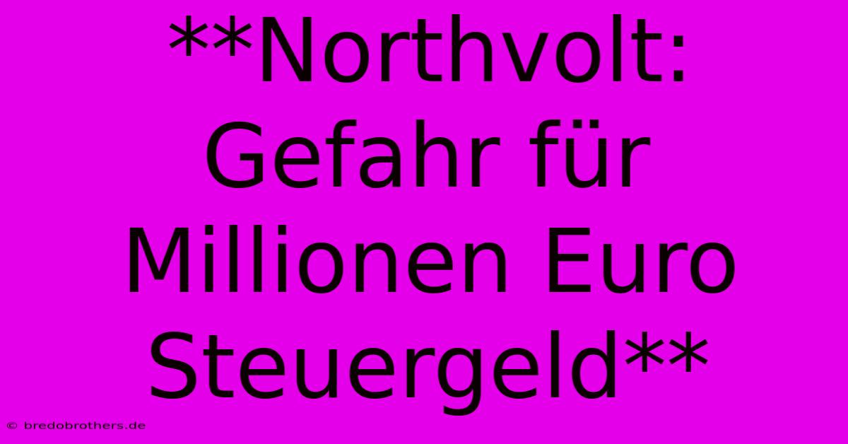 **Northvolt: Gefahr Für Millionen Euro Steuergeld**