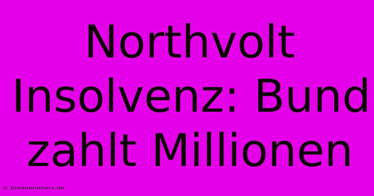 Northvolt Insolvenz: Bund Zahlt Millionen