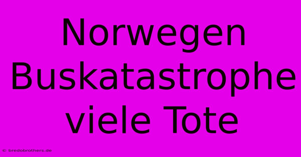 Norwegen Buskatastrophe Viele Tote