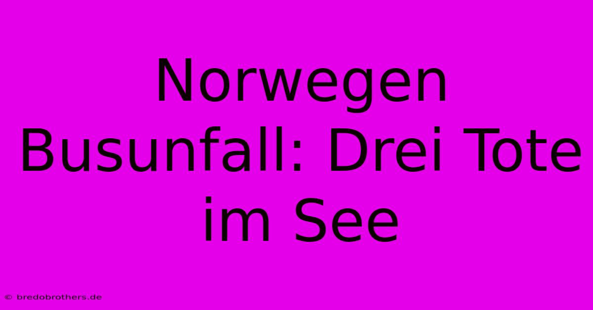 Norwegen Busunfall: Drei Tote Im See